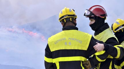 Des pompiers mobilisés sur l'incendie qui s'est déclaré entre Banyuls-sur-Mer et Cerbère (Pyrénées-Orientales), dimanche 16 avril 2023. (CHRISTOPHE BARREAU / MAXPPP)