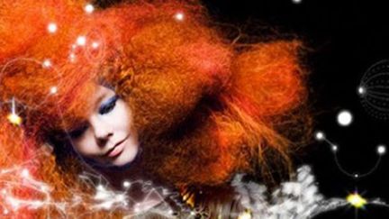 Bjork et sa folle chevelure pour &quot;Biophilia&quot;.
 (Droits réservés)