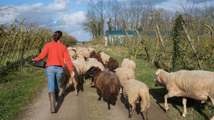 Une agricultrice au Cellier (Loire-Atlantique), le 25 février 2022. (MAYLIS ROLLAND / HANS LUCAS / AFP)