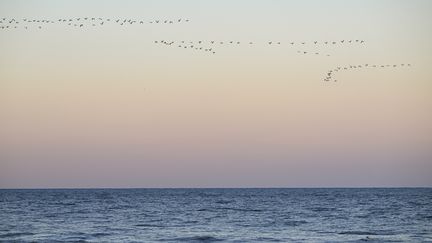 A sunset over the Atlantic Ocean on February 1, 2023, from Rehoboth Beach, Delaware (United States).  (CELAL GUNES / ANADOLU AGENCY / AFP)