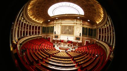 L'h&eacute;micycle de l'Assembl&eacute;e nationale, &agrave; Paris. (JOEL SAGET / AFP)