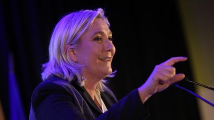 Marine Le Pen, candidate aux régionales dans le Nord-Pas-de-Calais-Picardie, lors d'un meeting à Wattrelos (Nord), le 6 novembre 2015. (THIERRY THOREL / CITIZENSIDE.COM / AFP)