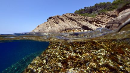 Les Sentinelles des calanques (5/5)