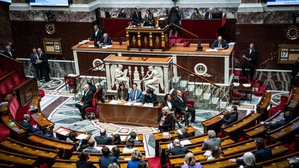 L'hémicycle de l'Assemblée nationale, à Paris, le 21 janvier 2024. (XOSE BOUZAS / HANS LUCAS / AFP)