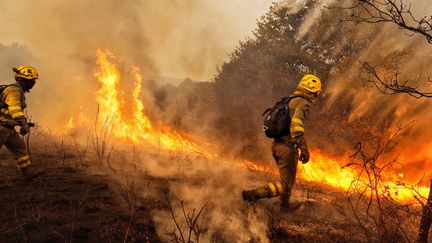 Les pompiers californiens ne sont pas les seuls à lutter contre les flammes. Au moins neuf personnes sont mortes dans des incendies qui ravagent, depuis dimanche 15 octobre, des forêts du Portugal et du nord-ouest de l'Espagne. Des zones qui sont frappées par des mois de sécheresse et qui connaissent des températures élevées pour la saison. Le Premier ministre Antonio Costa a déclaré "l'état de catastrophe publique". Près de 3 700 pompiers luttaient en pleine nuit contre 26 incendies au total.