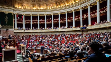 L'Assemblée nationale, ici lors des questions au gouvernement le 29 mai 2018 (illustration). (MAXPPP)