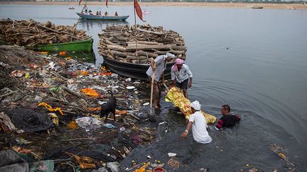 le corps est immergé dans les eaux sacrées du Gange. Peu importe pour les Indiens que celles-ci soient de plus en plus souillées par les déchets industriels, les eaux usées et les abattoirs.
 
 (REUTERS / Danish Siddiqui)