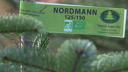 Le label s'applique aussi pour l'arbre de Noël. Reportage dans une exploitation en Ariège, où la culture se veut respectueuse de l'environnement. (France 3)