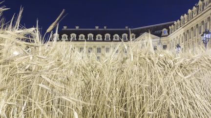 "Ble Vendôme", Installation de Gad Weil sur la Place Vendôme, 1er juillet 2016
 (GEOFFROY VAN DER HASSELT / AFP)