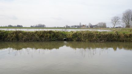 Un tuyau permet l'évacuation de l'eau d'un champ vers une wateringue dans le village des Moëres, en janvier 2021. (PIERRE-LOUIS CARON / FRANCEINFO)