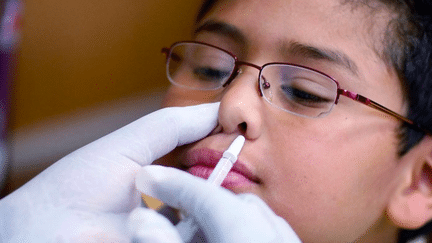 Santé : bientôt un vaccin en spray contre la grippe ? (France 2)