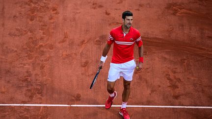 Novak Djokovic après sa victoire en finale de Roland-Garros contre Stefanos Tsitsipas, dimanche 13 juin. (MARTIN BUREAU / AFP)