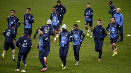 L'&eacute;quipe de France de football s'entra&icirc;ne au Stade de France, &agrave; Saint-Denis (Seine-Saint-Denis), le 18 novembre 2013, &agrave; la veille du match retour contre l'Ukraine. (FRANCK FIFE / AFP)