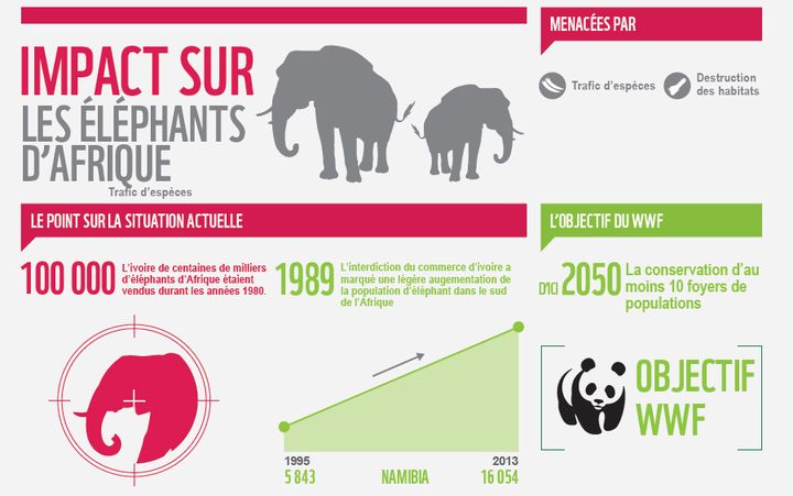 &nbsp; (La situation es éléphants d'Afrique selon WWF © WWF)