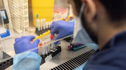 Des échantillons positifs au Covid-19 en vue d'un séquençage dans un laboratoire à Paris, le 7 décembre 2021. (THOMAS SAMSON / AFP)