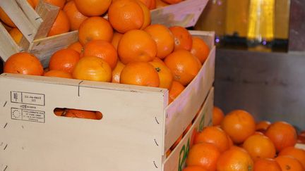 Des caisses d'orange. (MARTINE BRÉSON/RADIO FRANCE)