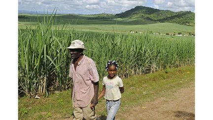 agriculteur né en Haïti, est arrivé en République dominicaine en 1959. Ici avec sa petite-fille Maxileidy devant un champ de canne à La Loma.
 
 (REUTERS / Ricardo Rojas )