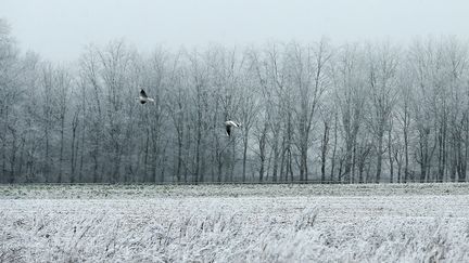 Grand froid : le plan d'urgence a été déclenché