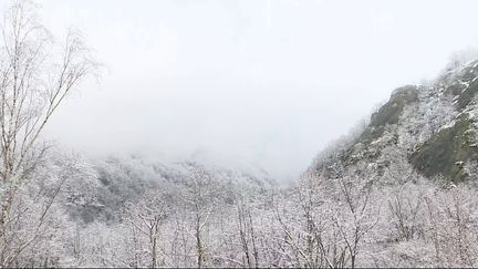 Neige dans les Pyrénées : un couple d’Espagnols porté disparu depuis samedi