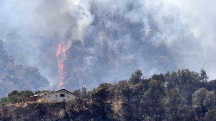 Une ferme menacée par les flammes le 11 août 2021 en Kabylie. (RYAD KRAMDI / AFP)