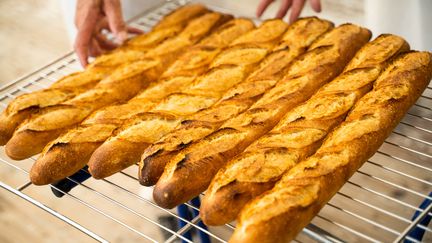 Des baguettes de pain lors d'une compétition de boulangerie, à Paris, le 6 octobre 2021.&nbsp; (XOSE BOUZAS / HANS LUCAS / AFP)