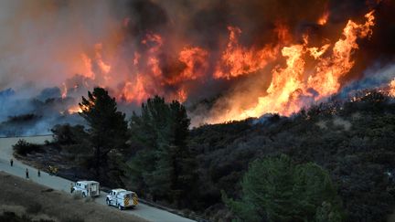 Les pompiers face aux feu Thomas à Los Angeles le 9 décembre 2017&nbsp; (GENE BLEVINS / X01685)