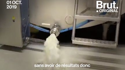 Agriculteur près de Rouen, Jean-Marc est contraint de jeter son lait suite à un arrêté préfectoral publié après l'incendie de l'usine Lubrizol. Il raconte à Brut comment il vit cette situation.