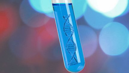 La structure de l'ADN, (Acide DésoxyriboNucléique),&nbsp;en double ruban symbolisé dans une pipette (PATRICK LEFEVRE / MAXPPP)