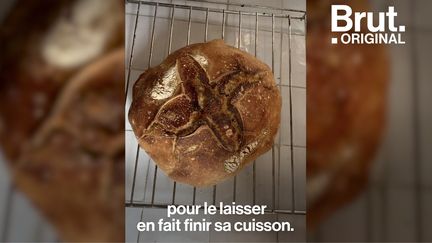 De la farine, de l'eau, du sel, et un peu de patience : voilà la nouvelle recette durable de la communauté écotable.