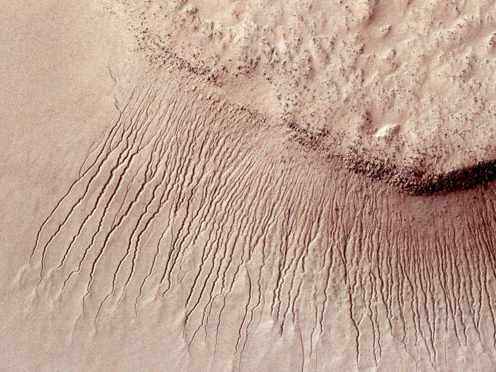 Des canaux strient le sol de la plan&egrave;te Mars, sur un clich&eacute; pris par la sonde&nbsp;Mars Reconnaissance Orbiter le 14 janvier 2011. (NASA / REUTERS)