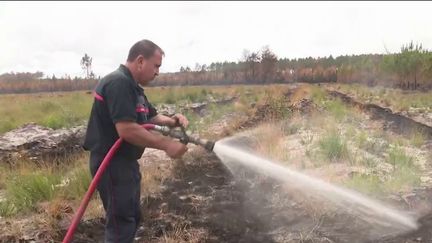 Incendies en Gironde : les pompiers luttent contre les feux souterrains