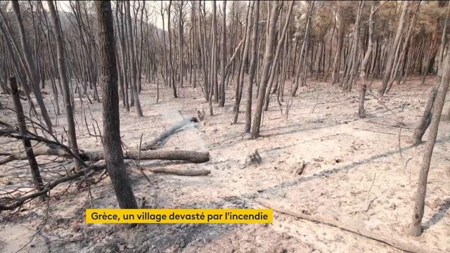 Grèce : les incendies continuent de ravager le pays, la situation demeure très préoccupante