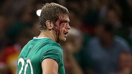 IRLANDE-CANADA. Chris Henry, le 1er septembre 2015. (HUW EVANS / REX SHUTTERST / SIPA)