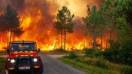 Un feu de forêt près de Landiras, en Gironde, le&nbsp;13 juillet 2022.
 (AP / SIPA)