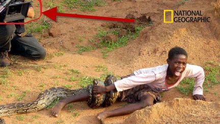 &nbsp; (Cette photo est issue d'un documentaire sur les serpents en Afrique © DR)