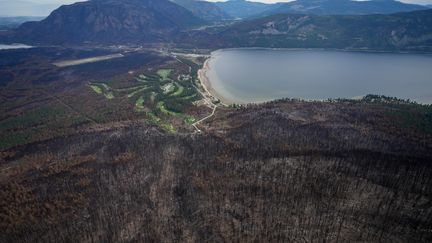 Un forêt en Colombie-Britannique, dans l'ouest du Canada, après le passage d'un feu. (DARRYL DYCK / MAXPPP)