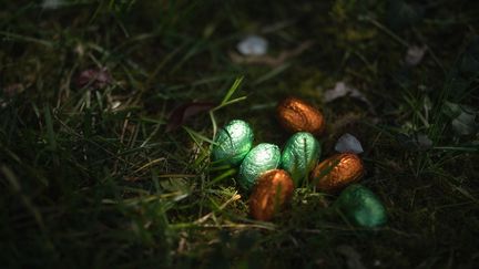 Des œufs de Pâques cachés dans un jardin de Grenoble (Isère), le 1 avril 2021. (MAXIME GRUSS / HANS LUCAS / AFP)