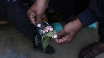 Dans les camps de déplacés à Gaza, il fait parfois plus froid dans les tentes qu'à l'éxtérieur. (BASHAR TALEB / AFP)