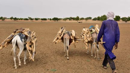 Un éleveur nigérien sur des rives desséchées près de Diffa, au sud-est du pays, en juin 2016 (Photo d'illustration). (ISSOUF SANOGO / AFP)