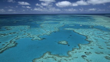 Vue aérienne de la Grande barrrière de corail en Australie.&nbsp; (THIERRY GRUN / ONLY WORLD)