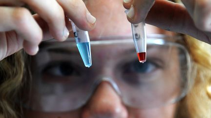 Dans le cadre d'un enseignement d'exploration qui permet de travailler maths, physique et biologie, des lycéens de Sélestat (Bas-Rhin) jouent aux "experts" de la police, le 12 octobre 2010. (FREDERICK FLORIN / AFP)