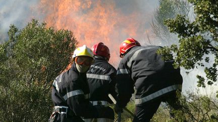 Pompiers en intervention dans les Pyrénées-Orientales, en 2006. Illustration. (RAYMOND ROIG,- / AFP)