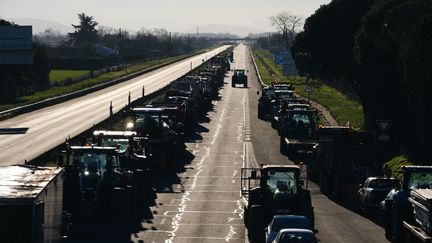 Des agriculteurs manifestent en Haute-Garonne, le 21 janvier 2024. (PATRICK BATARD / HANS LUCAS / AFP)