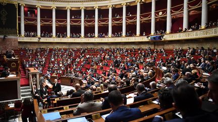 L'Assemblée nationale à Paris, le 23 janvier 2019. (ERIC FEFERBERG / AFP)