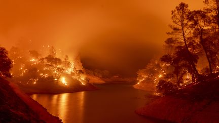 Les rives du lac Berryessa, dans le nord de la Californie, sont consumées par l'incendie Hennessey, le 18 août 2020. (JOSH EDELSON / AFP)