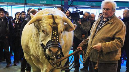 Gérard Depardieu au Salon de l'agriculture (23 février 2015)
 (Stéphane Lefèvre / Populaire du Centre / PhotoPQR / MAXPPP)