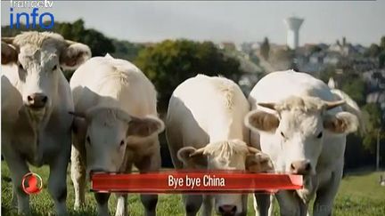 "Bye bye China" ( CAPTURE ECRAN FRANCE 2)