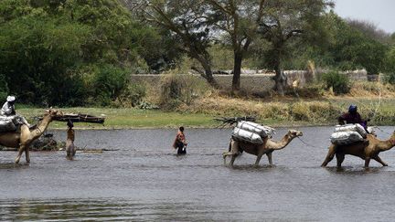 Des villageois tchadiens fuient une attaque de Boko Haram en traversant à dos de chameaux une branche du lac Tchad, le 6 avril 2015. (Photo AFP/Phillippe Desmazes)