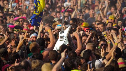 Le concert de Mass Hysteriai aux Eurock&eacute;ennes de Belfort en 2013. (SEBASTIEN BOZON / AFP)