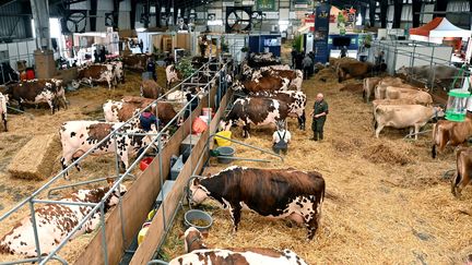 Le salon international de l'élevage se tient à Rennes. (JOEL LE GALL/OUEST-FRANCE / MAXPPP)